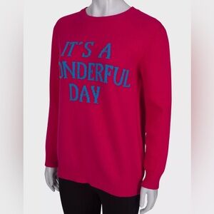 Alberta Feretti Women's Pink Sweater